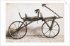 Pedicycle by Anonymous