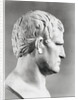 Head of Agrippa Sculpture by Anonymous