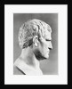 Head of Agrippa Sculpture by Anonymous