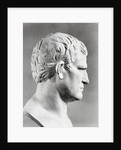 Head of Agrippa Sculpture by Anonymous