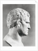 Head of Agrippa Sculpture by Anonymous