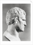 Head of Agrippa Sculpture by Anonymous