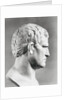 Head of Agrippa Sculpture by Anonymous