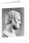 Head of Agrippa Sculpture by Anonymous