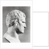 Head of Agrippa Sculpture by Anonymous
