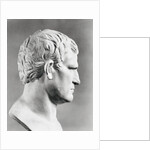 Head of Agrippa Sculpture by Anonymous