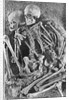 Skeletons from Grimaldi-Grotto by Anonymous