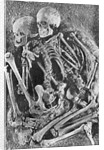 Skeletons from Grimaldi-Grotto by Anonymous