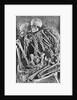 Skeletons from Grimaldi-Grotto by Anonymous