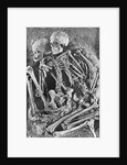 Skeletons from Grimaldi-Grotto by Anonymous