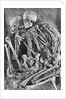 Skeletons from Grimaldi-Grotto by Anonymous