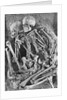 Skeletons from Grimaldi-Grotto by Anonymous