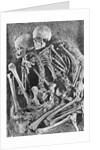 Skeletons from Grimaldi-Grotto by Anonymous