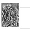 Skeletons from Grimaldi-Grotto by Anonymous