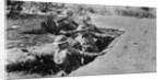 Marines Throwing Grenades by Anonymous