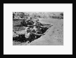 Marines Throwing Grenades by Anonymous