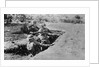 Marines Throwing Grenades by Anonymous