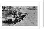 Marines Throwing Grenades by Anonymous