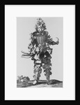 Symbolic Illustration of Grape Grower by Anonymous