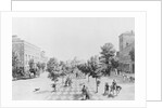 People Strolling Through Washington D.C. by Anonymous