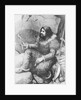 Man from Magdalenian Period by Anonymous