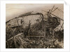 Tank Caught in Barbed Wire Entanglement by Anonymous