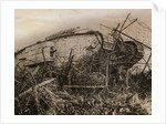 Tank Caught in Barbed Wire Entanglement by Anonymous