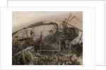 Tank Caught in Barbed Wire Entanglement by Anonymous