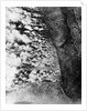 Aerial View of World War I Gas Attack by Anonymous