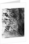 Aerial View of World War I Gas Attack by Anonymous