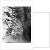 Aerial View of World War I Gas Attack by Anonymous