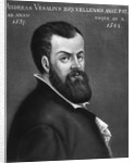 Portrait of Andreas Vesalius by Anonymous