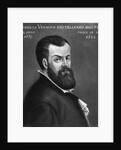 Portrait of Andreas Vesalius by Anonymous