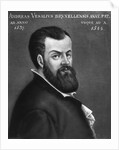 Portrait of Andreas Vesalius by Anonymous