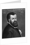 Portrait of Andreas Vesalius by Anonymous
