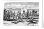 Covered Wagon Train Encampment by Anonymous