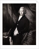Painting of William Pitt by Anonymous
