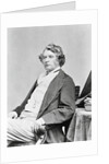 Portrait of Senator Charles Sumner Reposed by Anonymous