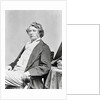 Portrait of Senator Charles Sumner Reposed by Anonymous