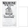 Poster Advertising Siamese Twins by Anonymous