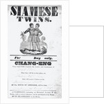 Poster Advertising Siamese Twins by Anonymous