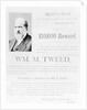 Warrant for William M. Tweed by Anonymous