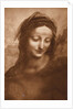 Portrait of St. Anne by Leonardo da Vinci