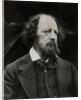 Poet Alfred Tennyson by Anonymous