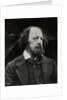 Poet Alfred Tennyson by Anonymous