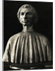 Marble Bust of Nicolo Machiavelli by Anonymous