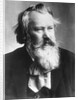 Composer Johannes Brahms in Suit by Anonymous