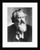 Composer Johannes Brahms in Suit by Anonymous