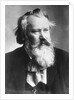 Composer Johannes Brahms in Suit by Anonymous