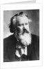 Composer Johannes Brahms in Suit by Anonymous